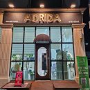 뿌리네 애견샵 | 내돈내산 오산 헤어샵 추천 | 아드리다헤어(레이어드C컬, 투블럭)