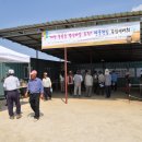 당산마을 이미지