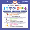 울산 펫페어 '기다려 대회' 자신있개 참여해~ (선착순 이벤트, 댕댕이 플레이존 안내)