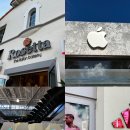 아침온 bakery | 미국 마이애미 가볼만한곳 빵집 맛집 Rosetta Bakery, 링컨로드 쇼핑몰 구경 (애플, 나이키, 아디다스)