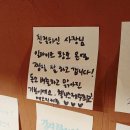 심신마을회관 | [공지] 😊 친환경 힐링을 만나다, 웰니스제주 일라이트 편백나무 공간 1박 후기