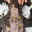 나은동물병원 이미지