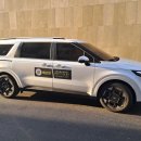 대구 펫 택시 이미지