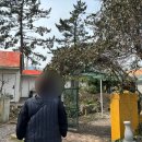 정든닭 이미지