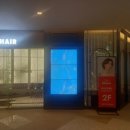 HAIR 235 이미지