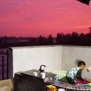 제주젬젬 | [후기]제주젬젬 후기