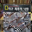 꾸준함이라는 가장 단단한 자산 이미지