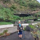 [엉알해안 녹고의 눈물] 이미지