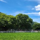 거락마을회관옆 이미지