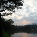 영주스포렉스 이미지