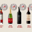 더블유 이미지