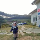 서산소나무힐링 이미지