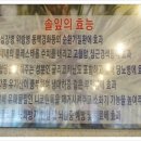 장어셀프타운고읍점