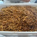 윤 오토캠핑장 이미지