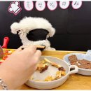 부산애견호텔 애견유치원 맘바이 부산북구점 네이버블로그