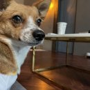 그랑모던풀빌라 이미지