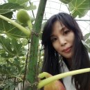 만이농장 이미지