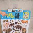 우리소리 | 콕콕사운드벽보 사용 후기 우리 아이 첫 소리나는 벽보 돌아기