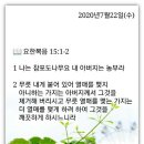 성구 Daum카페