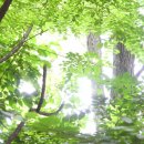 세효각(世孝閣) 네이버블로그