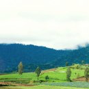 강동-천호-380 이미지