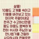샬롬 이미지