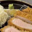 오제제 - 중구 남대문로 81 | 오제제