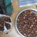 양지고속주유소 이미지