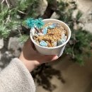 카페테라스 이미지