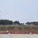 남상면-35 이미지
