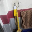 광성반점