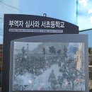 서초등학교 이미지