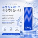 (주)바이오웨이브 | 부산힐로웨이브, 요즘 관심이 높아지는 이유는?