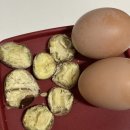 충청세차장 | 이공이사 시월 보름일기.hwp