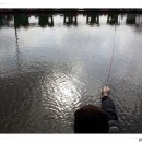 신촌낚시터 이미지