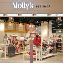 신세계 애견미용샵 이미지