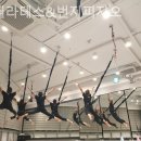폼필라테스 - 강남구 선릉로6길 12 | 폼필라테스