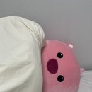 웅비슈퍼 이미지