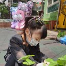 오정유치원 이미지