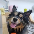 보리미용실 이미지