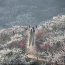 테크노 시스템 네이버블로그