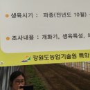 무리개농장 이미지