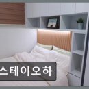 스테이오하