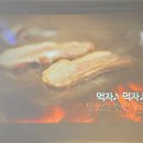 도몽 | 선진포크한돈 포크리에19기 발대식 도몽 참석 후기