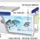 해성좌대 | 물고기 살려오기 인생기포기 해동 아이스박스 기포기 마개 사용법 물고기 살려오기. 리얼 후기