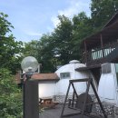 숲속의 이글루 이미지