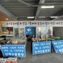 오이도건어물과젓갈