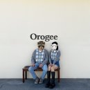 오로지(orogee) 이미지