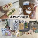 샤인카랜드 | [후쿠오카 3박4일](3)신선산도/키디랜드/키라돈키/돈키호테 나카스점