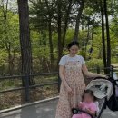 이유영 카카오 검색결과